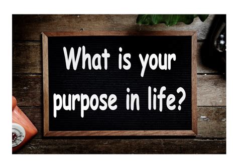 what is your purpose in life